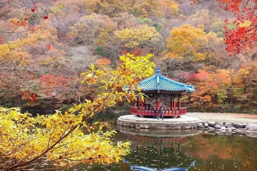 Naejangsan Mountain: Autumn Foliage Day Tour from Seoul | South Korea