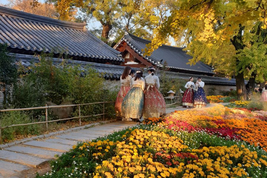 Autumn Maple Leaves Day Tour: Naejangsan Mountain & Jeonju Hanok Village | South Korea