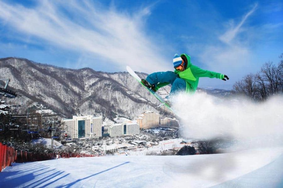 Gyeonggi-do Day Tour: Vivaldi Park Ski World and Nami Island (Departure from Seoul) | South Korea